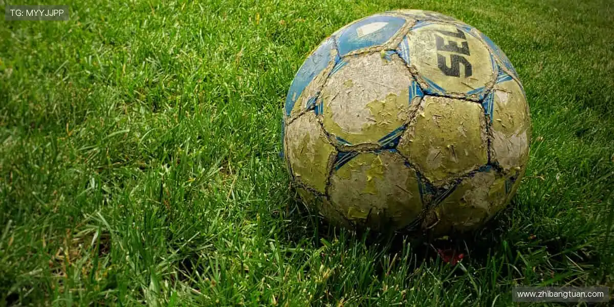 🎁限量周边,把热爱穿在身上!🎾